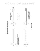 RNA INTERFERENCE MEDIATED INHIBITION OF GENE EXPRESSION USING CHEMICALLY     MODIFIED SHORT INTERFERING NUCLEIC ACID (siNA) diagram and image