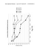 RNA INTERFERENCE MEDIATED INHIBITION OF GENE EXPRESSION USING CHEMICALLY     MODIFIED SHORT INTERFERING NUCLEIC ACID (siNA) diagram and image