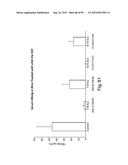 RNA INTERFERENCE MEDIATED INHIBITION OF GENE EXPRESSION USING CHEMICALLY     MODIFIED SHORT INTERFERING NUCLEIC ACID (siNA) diagram and image