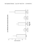 RNA INTERFERENCE MEDIATED INHIBITION OF GENE EXPRESSION USING CHEMICALLY     MODIFIED SHORT INTERFERING NUCLEIC ACID (siNA) diagram and image