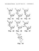 ANTISENSE ANTIVIRAL COMPOUND AND METHOD FOR TREATING ss/RNA VIRAL     INFECTION diagram and image