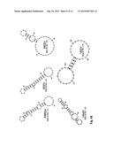 ANTISENSE ANTIVIRAL COMPOUND AND METHOD FOR TREATING ss/RNA VIRAL     INFECTION diagram and image