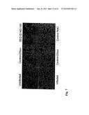 ANTISENSE ANTIVIRAL COMPOUND AND METHOD FOR TREATING ss/RNA VIRAL     INFECTION diagram and image