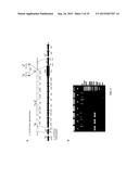 METHODS OF HOST CELL MODIFICATION diagram and image