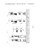 METHODS OF HOST CELL MODIFICATION diagram and image