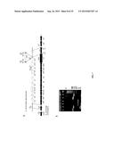 METHODS OF HOST CELL MODIFICATION diagram and image