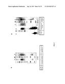 METHODS OF HOST CELL MODIFICATION diagram and image