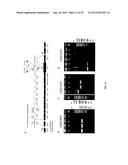 METHODS OF HOST CELL MODIFICATION diagram and image