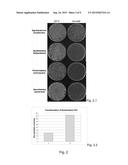 ELECTROCOMPETENT CELLS AND PREPARATION THEREOF diagram and image