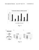 ELECTROCOMPETENT CELLS AND PREPARATION THEREOF diagram and image