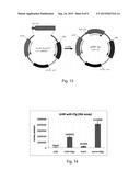 ELECTROCOMPETENT CELLS AND PREPARATION THEREOF diagram and image