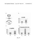 ELECTROCOMPETENT CELLS AND PREPARATION THEREOF diagram and image