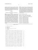 HEAT-RESISTANCE RICE GENE OSZFP, SCREENING MARKER AND SEPARATION METHOD     THEREOF diagram and image