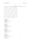 HEAT-RESISTANCE RICE GENE OSZFP, SCREENING MARKER AND SEPARATION METHOD     THEREOF diagram and image