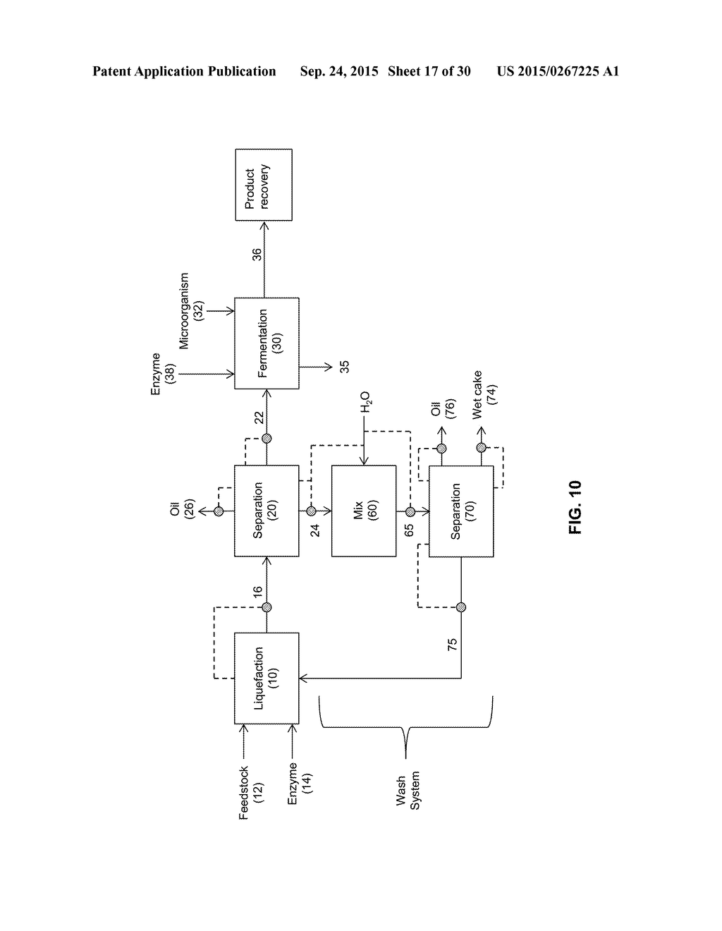 PROCESSES AND SYSTEMS FOR THE PRODUCTION OF FERMENTATION PRODUCTS - diagram, schematic, and image 18