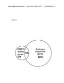 METHOD FOR IDENTIFYING COMPOUND FOR INHIBITING AN ACTIVITY OF A HISTONE     LYSINE DEMETHYLASE diagram and image