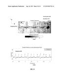 Two-dimensional Magnetic Trap Arrays for Droplet Control diagram and image