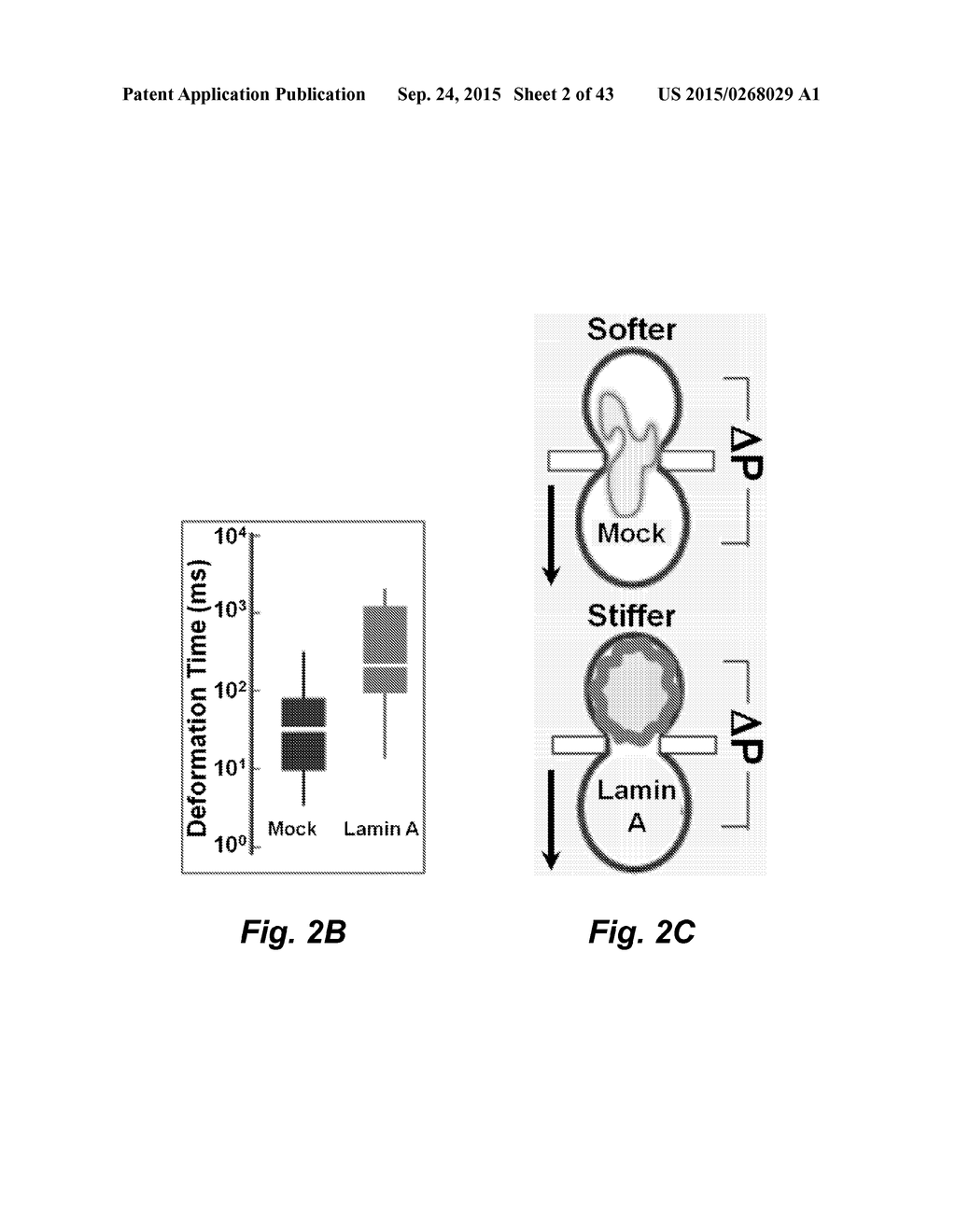 MECHANICAL PHENOTYPING OF SINGLE CELLS: HIGH THROUGHPUT QUANTITATIVE     DETECTION AND SORTING - diagram, schematic, and image 03