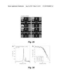 MECHANICAL PHENOTYPING OF SINGLE CELLS: HIGH THROUGHPUT QUANTITATIVE     DETECTION AND SORTING diagram and image