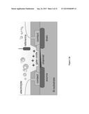 METHOD TO FABRICATE FINFET SENSORS, IN PARTICULAR, FINFET SENSORS FOR     IONIC, CHEMICAL AND BIOLOGICAL APPLICATIONS ON SI-BULK diagram and image