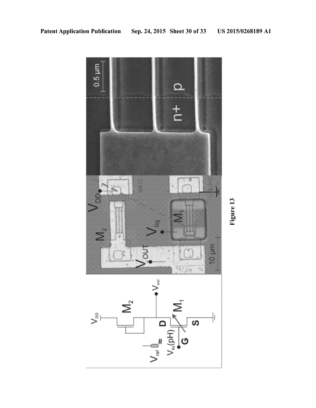 METHOD TO FABRICATE FINFET SENSORS, IN PARTICULAR, FINFET SENSORS FOR     IONIC, CHEMICAL AND BIOLOGICAL APPLICATIONS ON SI-BULK - diagram, schematic, and image 31