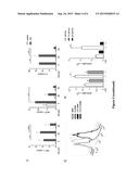 Method for Renal Transplantation diagram and image