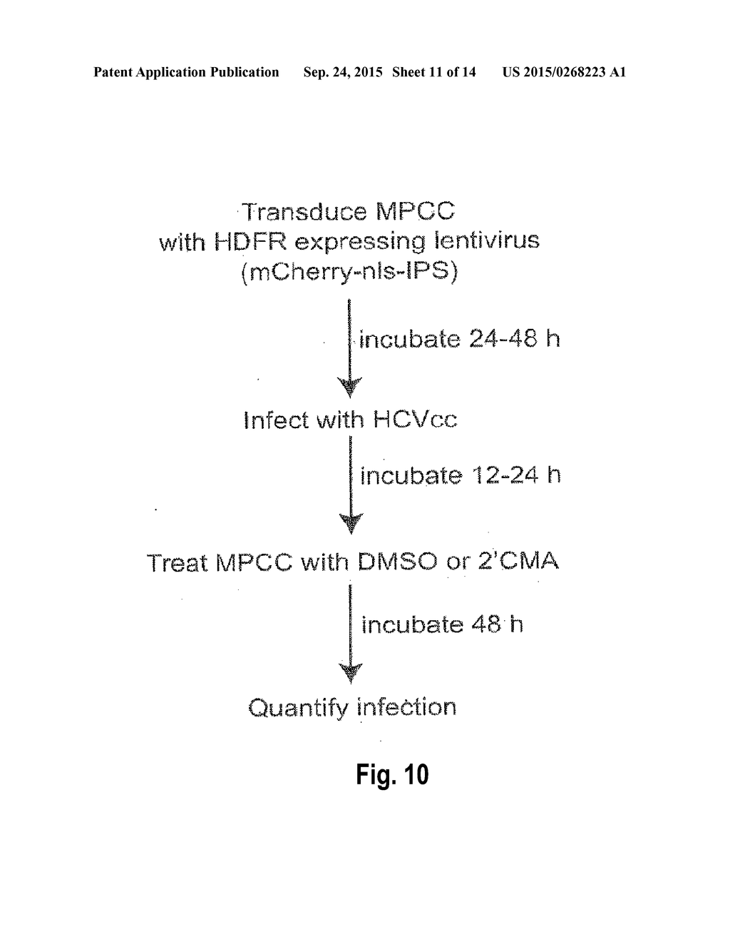 MICROPATTERNED CO-CULTURE SYSTEMS AS INFECTIOUS DISEASE ANALYSIS PLATFORMS - diagram, schematic, and image 12