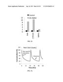 METHOD AND SYSTEM FOR CONTINOUS MONITORING OF TOXICITY diagram and image