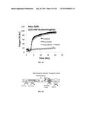 METHOD AND SYSTEM FOR CONTINOUS MONITORING OF TOXICITY diagram and image