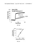 METHOD AND SYSTEM FOR CONTINOUS MONITORING OF TOXICITY diagram and image