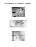 METHOD AND SYSTEM FOR CONTINOUS MONITORING OF TOXICITY diagram and image