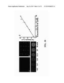 Functionalized Polydiacetylene Sensors diagram and image