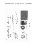 Functionalized Polydiacetylene Sensors diagram and image