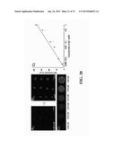 Functionalized Polydiacetylene Sensors diagram and image