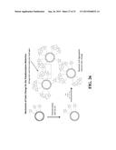 Functionalized Polydiacetylene Sensors diagram and image