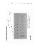 Functionalized Polydiacetylene Sensors diagram and image