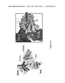 Assay for Screening of Anti-Viral Compounds That Inhibit Specific     Interaction Interfaces Between Cullin5 and an ElonginB/ElonginC/     CBF-beta/HIV-1 Vif Complex diagram and image