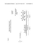 METHOD AND DEVICE FOR DETECTING ILLEGAL DRUGS diagram and image