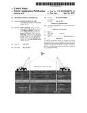 POLYMER COATED NANOPARTICLES diagram and image