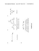 POLYMER COATED NANOPARTICLES diagram and image