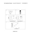 POLYMER COATED NANOPARTICLES diagram and image