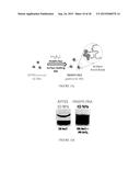 POLYMER COATED NANOPARTICLES diagram and image