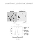 POLYMER COATED NANOPARTICLES diagram and image