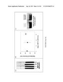 POLYMER COATED NANOPARTICLES diagram and image