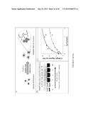 POLYMER COATED NANOPARTICLES diagram and image