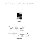 POLYMER COATED NANOPARTICLES diagram and image