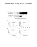 POLYMER COATED NANOPARTICLES diagram and image