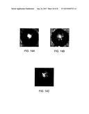 STEREO VISION MEASUREMENT SYSTEM AND METHOD diagram and image