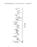 STEREO VISION MEASUREMENT SYSTEM AND METHOD diagram and image