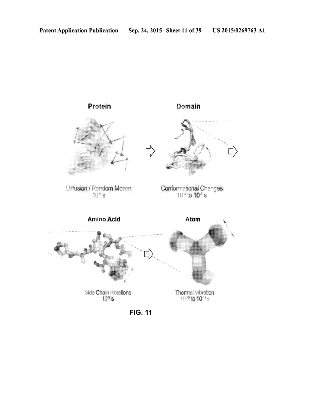 CURATED MODEL DATABASE - diagram, schematic, and image 12